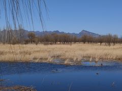 -野鸭湖国家湿地公园