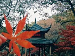 -岳麓山风景名胜区