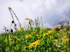 -白草畔自然风景区