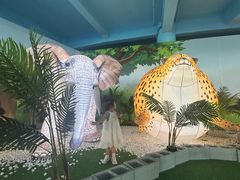 -秦皇岛乐岛海洋王国