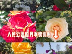 -人民公园(罗湖区)