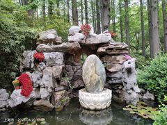 -上海醉白池公园