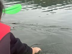 -海兰云天度假区温泉