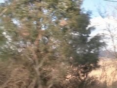 -鸡鸣山旅游风景区