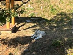 -石家庄市动物园