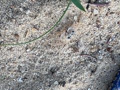 -三亚海棠湾万丽度假酒店