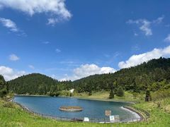 -武陵山森林公园