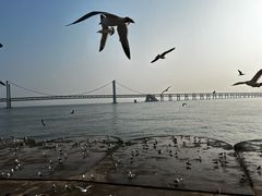-大连星海广场音乐喷泉