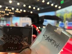 -TESLA 特斯拉(上海太古汇体验店)
