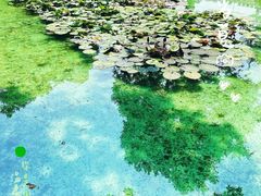 -静安公园(静安寺街道)