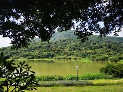 -风云岭森林公园