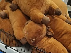 -BIGOFFS 超级折扣(仁恒伊势丹店)