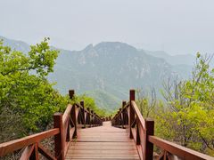 -大岭沟猕猴桃谷风景区