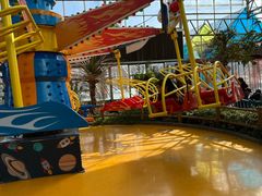 -南宫五洲植物乐园