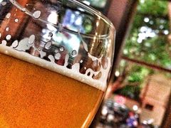 Boxing&nbsp;Cat&nbsp;Brewery(复兴西路店)-Boxing Cat Brewery拳击猫精酿啤酒馆(永福店)