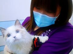 -中农国际动物医院24小时·猫科·骨科·急重症中心