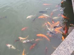 -檀园