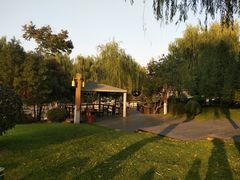 -唐城墙遗址公园