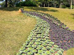 -云溪植物园