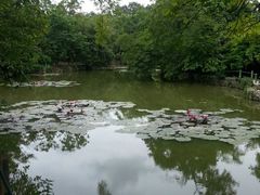 -广西壮族自治区药用植物园