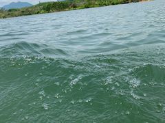 -海南霸王岭国家森林公园