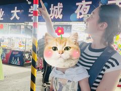 -大学城夜市