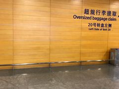 -日上免税行(浦东机场五店)