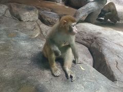 -福州罗源湾海洋世界旅游区