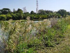 -华南国家植物园-售票处