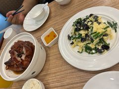 -永記粤菜·五指毛桃花雕鸡煲(九亭店)