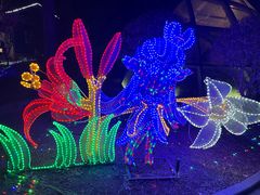 -南宫五洲植物乐园