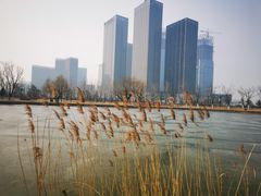 -西海子公园