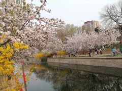 -元大都城垣遗址公园