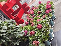 -黔蘑菇四季餐厅(观山湖店)