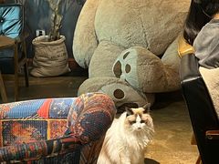 -咖法森林·咖啡  酒吧(天河店)