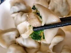 韭菜猪肉水饺-东方饺子王(大屯路店)