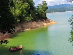 -广州市流溪河国家森林公园