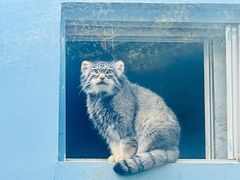 -青藏高原野生动物园