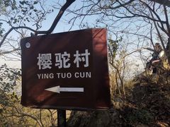 -紫金山索道-售票处