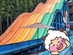 -重庆海昌加勒比海水世界