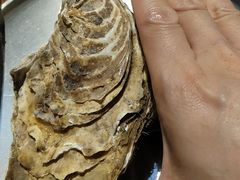 -蚝堡海鲜·威海菜·海肠捞饭·烧烤·亚洲吃蚝公司(幸福门店)