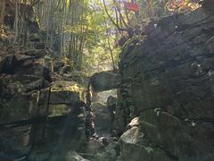 -藏龙百瀑风景区