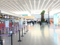 -郑州新郑国际机场