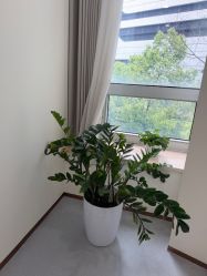 -上海伊莱美医疗美容医院