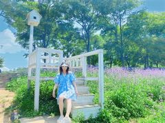 -大塘金香草谷