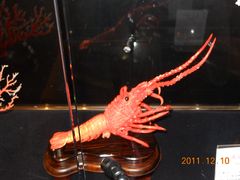 -绮丽珊瑚(台北101旗舰门市店)