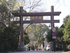 -龙井村