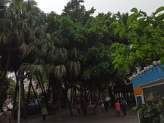 -荔湾湖公园