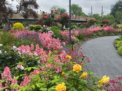 -上海植物园-4号门售票处