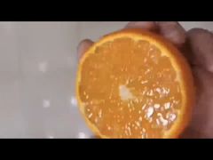 奥橘-果叔(红旗街店)